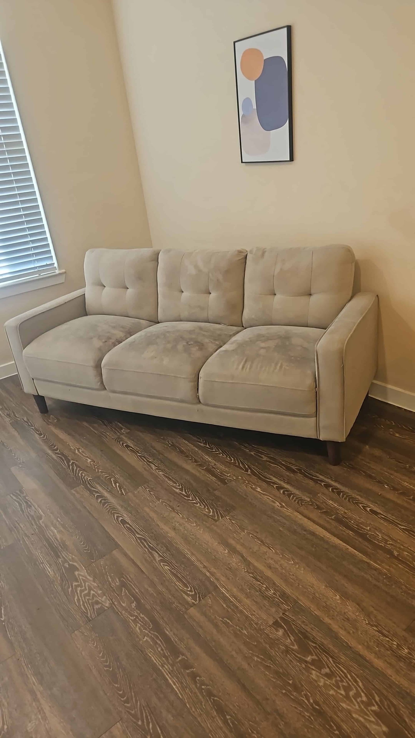 Sofa Cleaning — before