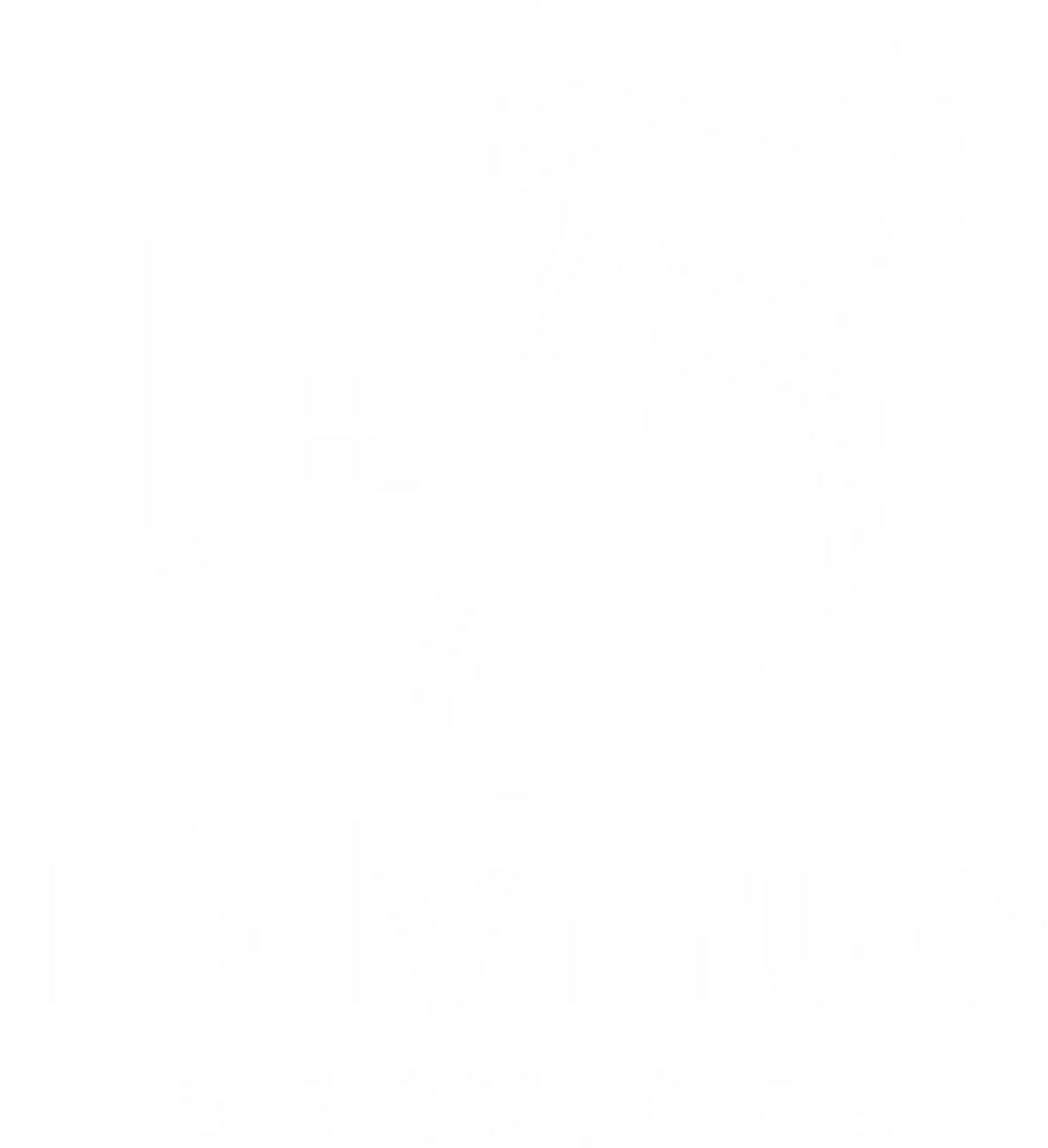 TidyTrue Services logo